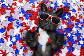 Protect Your Pets this 4th of July: Essential Safety tips Inside~! 🇺🇸🐾💌