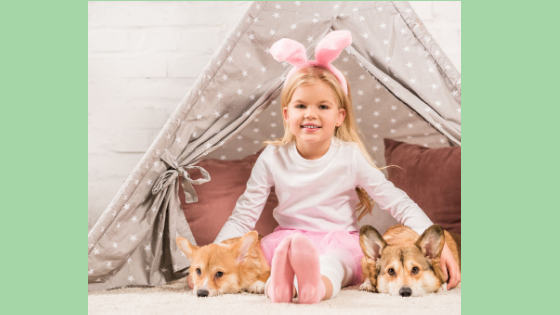 Flea & Tick Season