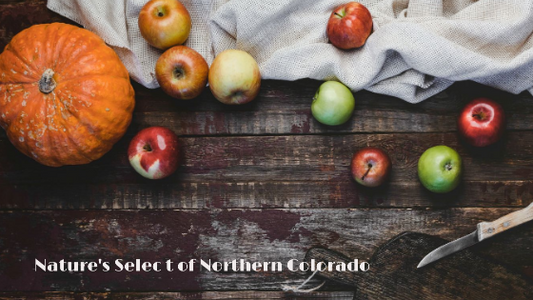 Have you Ever gone Apple Picking with your Furbaby?