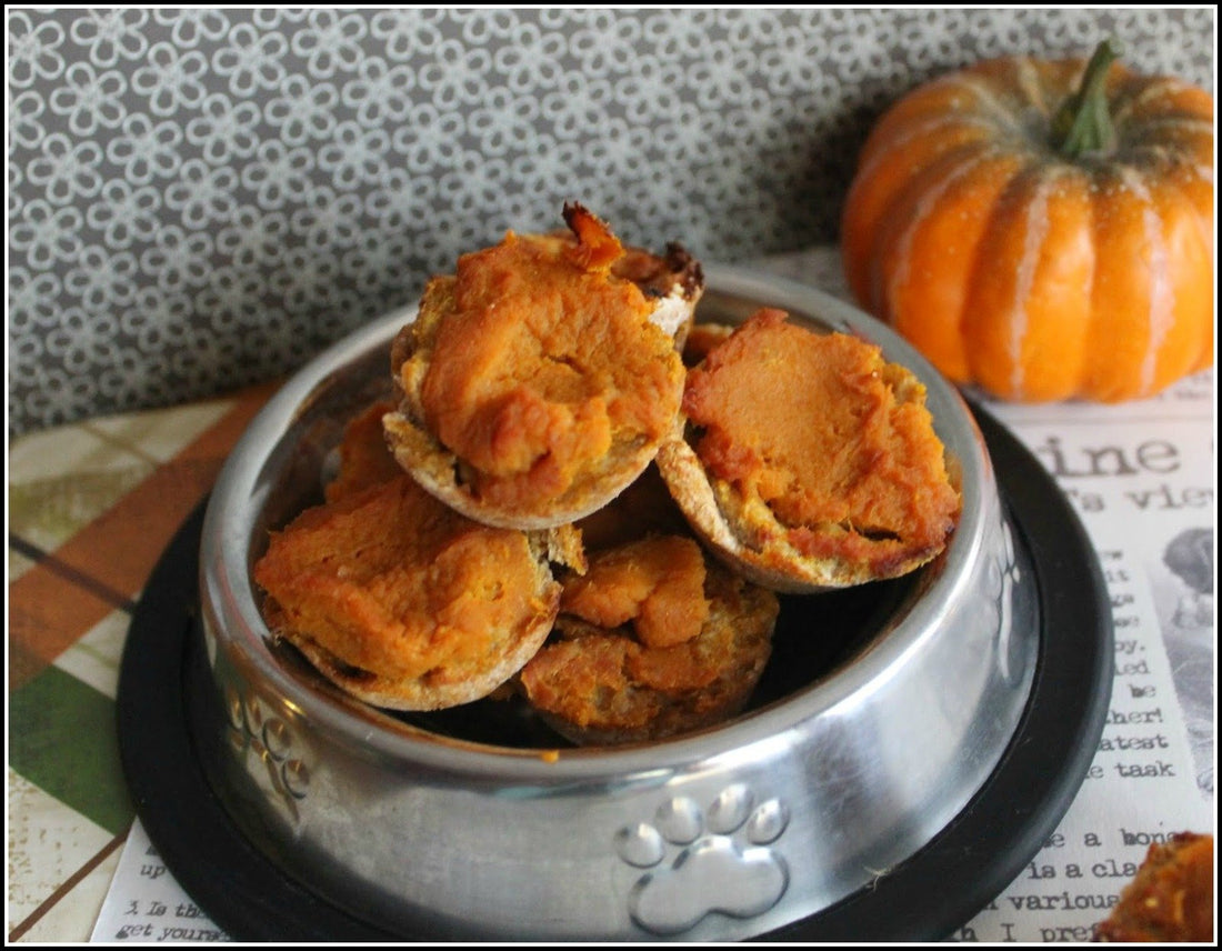 Pumpkin Pie Dog and Cat Treats =)