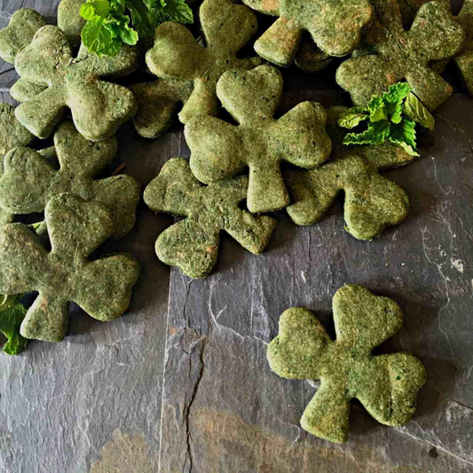 A St Patty's Treat for your special furbaby