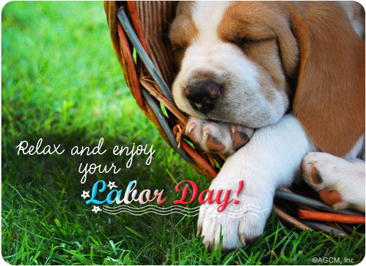 The Secret to a Safe But Fun Labor Day Weekend With Your Pets