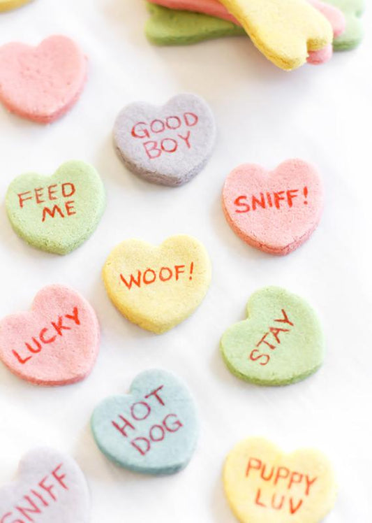 Homemade Valentine's Sweetheart for Your Sweet Fur-friend~!