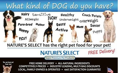 Understanding Allergies and Proteins in Pet Food: A Harmonious Balance~