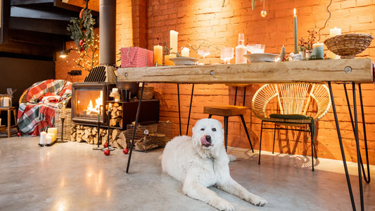 Feast Paws: Unleash the Flavor with Pet-Friendly Holiday Meal Ideas!