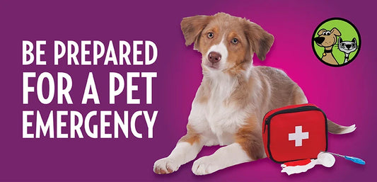 Prepare for Emergency