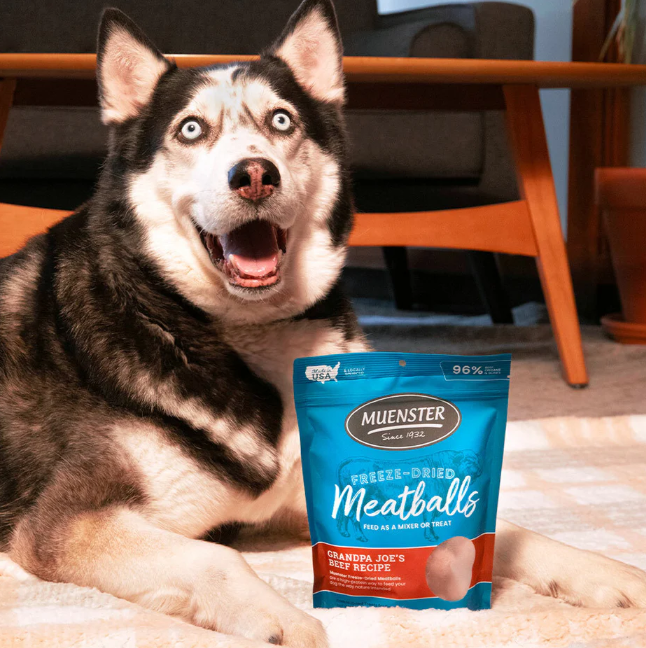 Freeze Dried Beef Meatballs Dog Treats