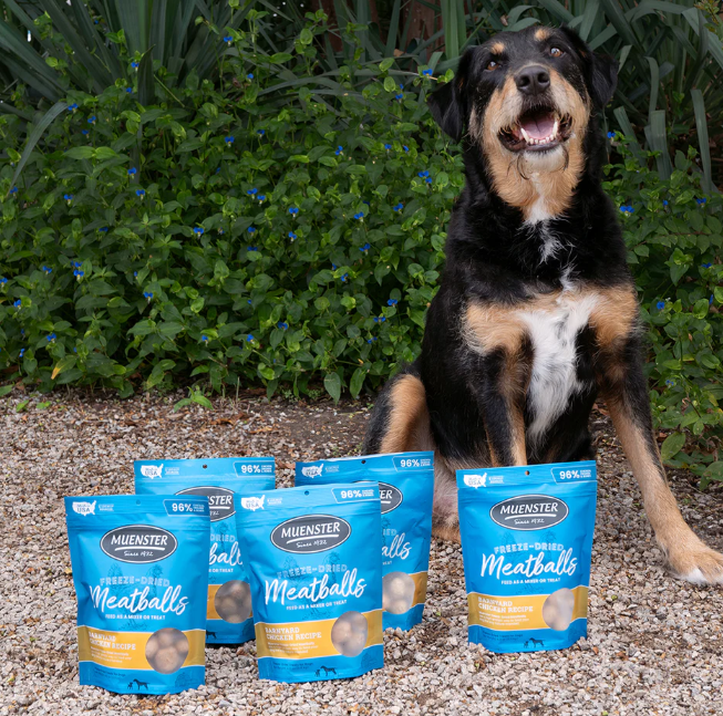 Freeze Dried Chicken Meatballs Dog Treats