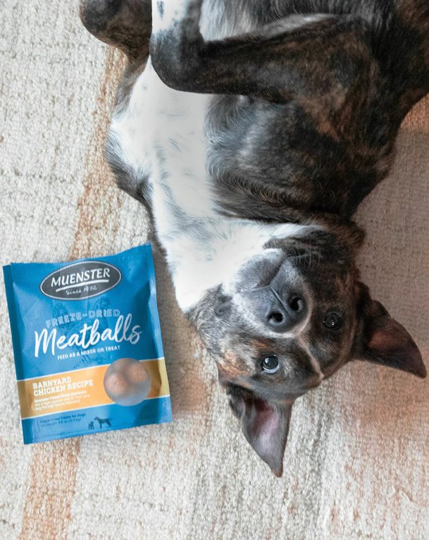 Freeze Dried Chicken Meatballs Dog Treats