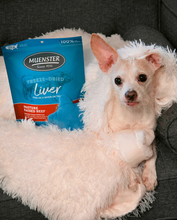 Freeze-Dried All-Beef Liver Treats