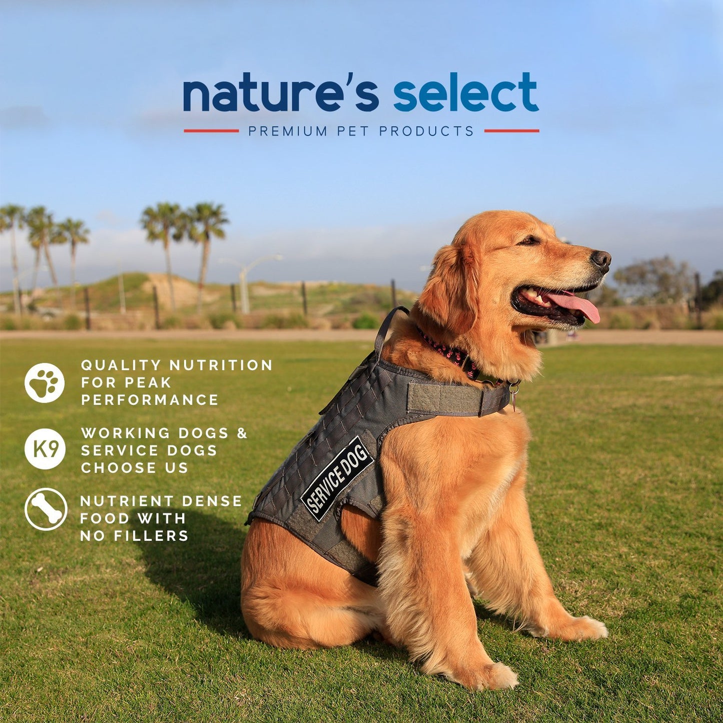 Nature's Select Premium Pet Products infographic: quality nutrition for peak performance. K9, working, and service dogs choose Nature's Select dog food. Nutrient dense food with no fillers