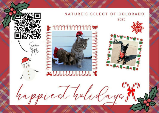 Paws & Cheer: A Christmas Message for Pet Families