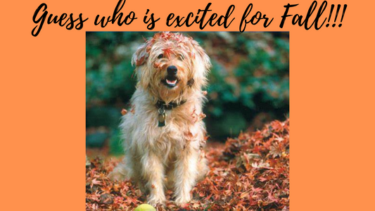 Who else is ready for Fall???