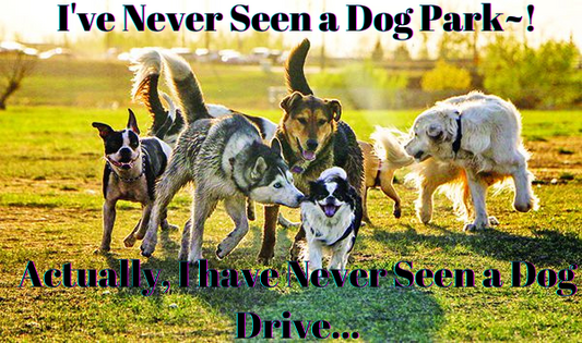 Spring Time Means Dog Park Fun... Get to Know the Dog Park Ethics~