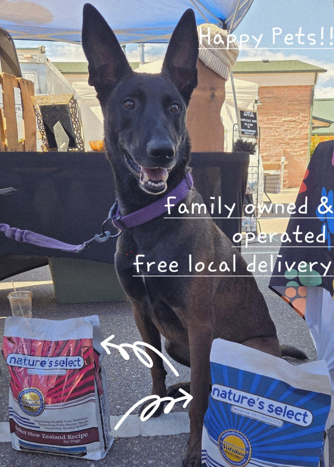 🎄🐾 Holiday Joy for Your Furbabies Starts Here!