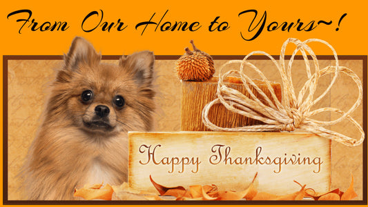 Why not treat your furbaby to their very own Thanksgiving meal this year~!