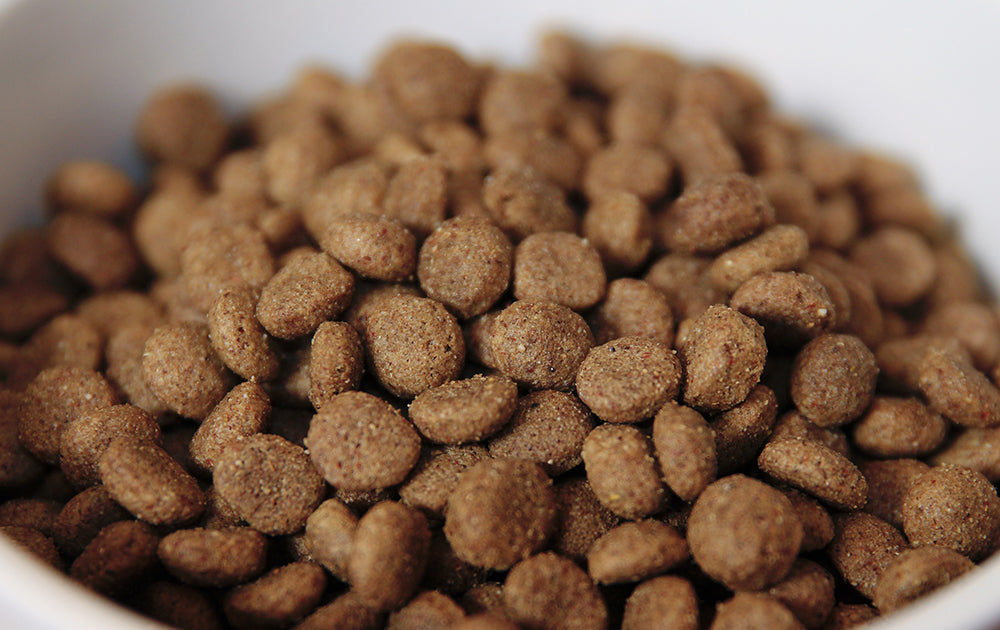 Dry Dog Food