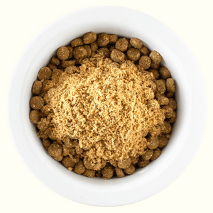 Food for Dogs With Allergies