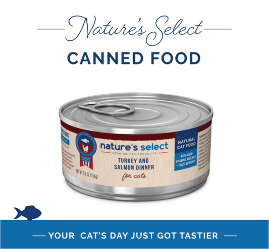 Turkey & Salmon Canned Wet Cat Food Auto renew