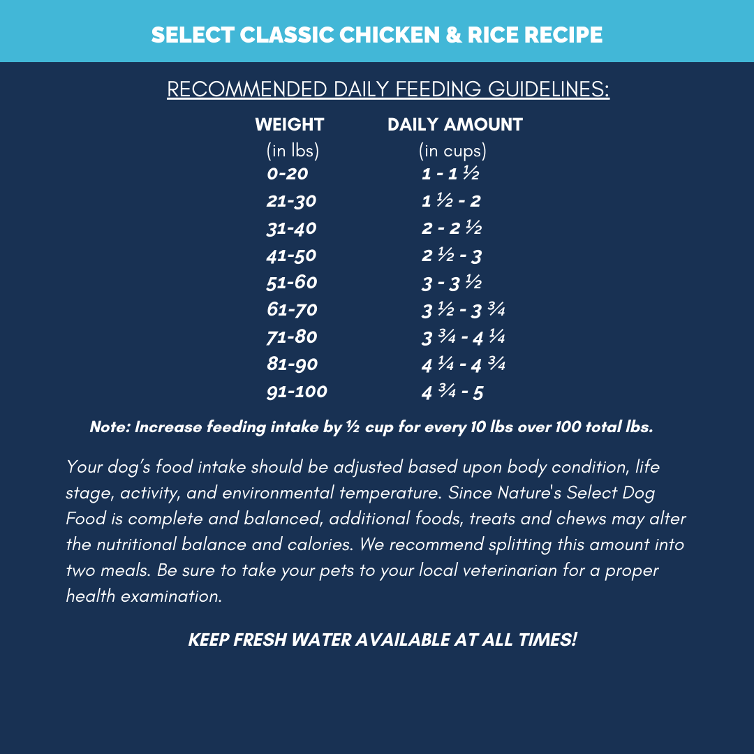 Classic Recipe - Chicken & Rice Dry Dog Food
