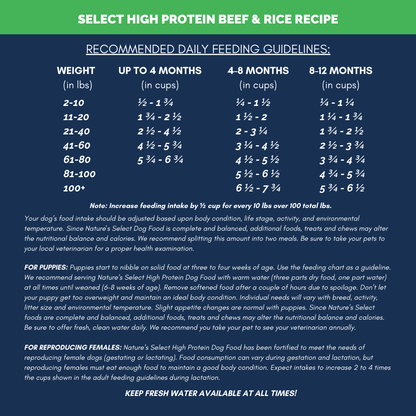 High Protein Recipe - Beef & Rice Dry Dog Food