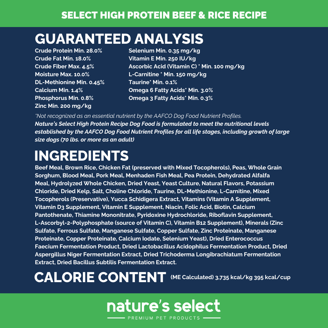 High Protein Recipe - Beef & Rice Dry Dog Food