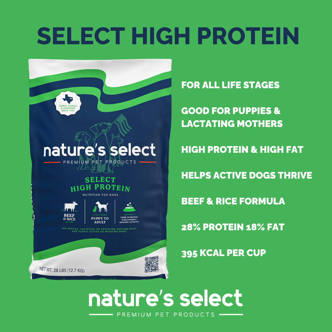 High Protein Recipe - Beef & Rice Dry Dog Food