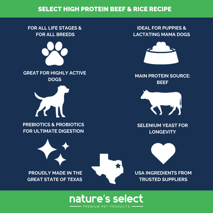 High Protein Recipe - Beef & Rice Dry Dog Food
