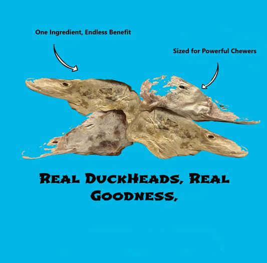 Freeze Dried Duck Heads - 3 Count Pack