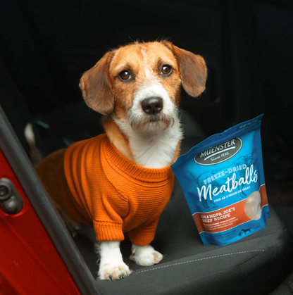 Freeze Dried Beef Meatballs Dog Treats