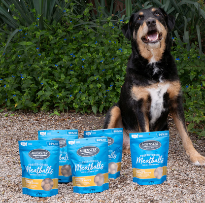Freeze Dried Chicken Meatballs Dog Treats