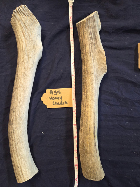 Rocky Mountain Antlers