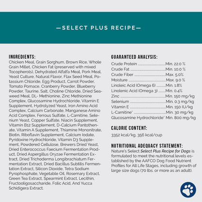 Chicken and rice ingredient infographic card | Chicken & Rice Plus Recipe w/ Glucosamine | Nature's Select Dog Food | Dog food with glucosamine | glucosamine dog food | best dry dog food | best dry dog kibble | chicken dog food recipe | chicken and rice dog food