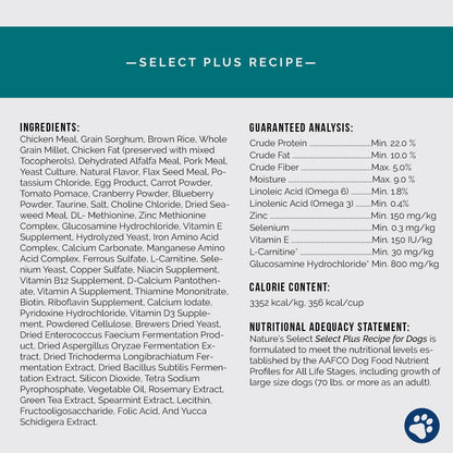 Plus Recipe - Chicken & Rice w/ Glucosamine Subscription