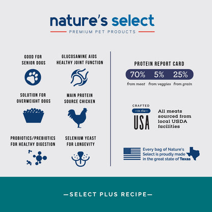 Plus Recipe - Chicken & Rice w/ Glucosamine Dog Food