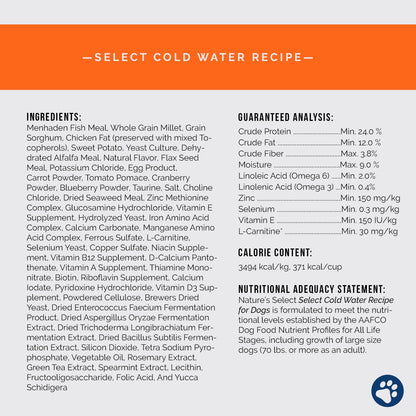 Cold Water White Fish Dry Dog Food - Food Sensitivities + Skin & Coat Health