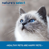 Nature's Select Premium Pet Products: healthy pets are happy pets | Image of a long haired cat with blue eyes