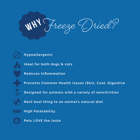 Freeze-Dried Chicken Meatball Cat & Dog Treats